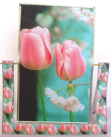 Tulip Get Well Soon Spinner by Liz Chapman