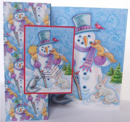 The Snowman with the Robin on His Hat by Liz Chapman