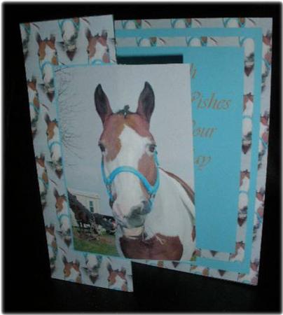 Horse Fold Back by Liz Chapman