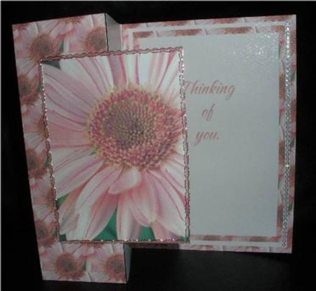 Pink Daisy Fold Back by Liz Chapman