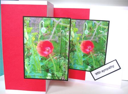 The Poppy by Liz Chapman