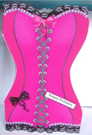 Sinfully Sexy Pink Shaped Corset by Liz Chapman