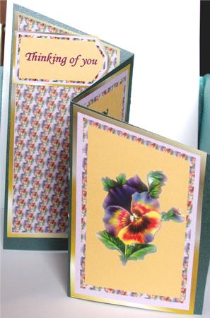 Get Well Soon Pansy by Liz Chapman