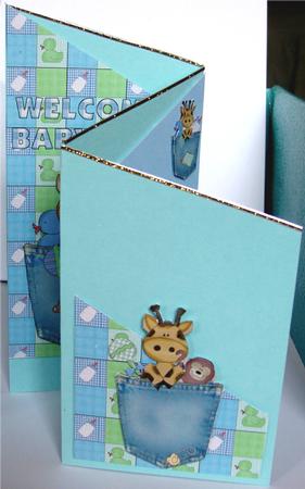 Welcome Baby Boy Giraffe in Pocket Cascade by Liz Chapman