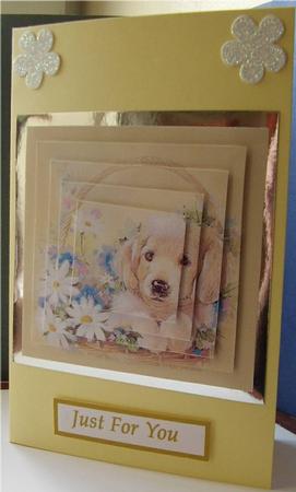 Puppy in Basket by Liz Chapman