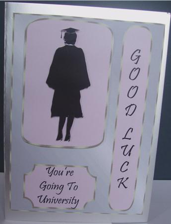 Youre Gong to University - Female by Liz Chapman