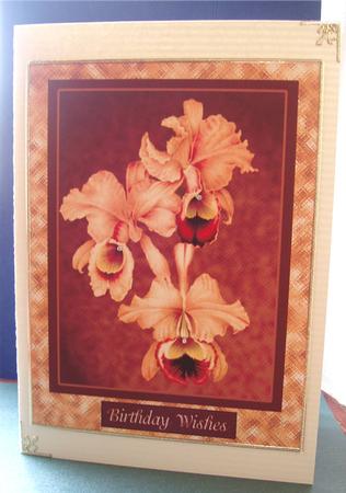 Orchids with Birthday Verses Apricot by Liz Chapman
