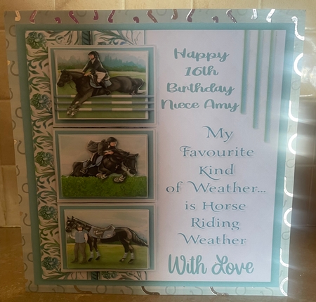The Horse Rider by Liz Kiely