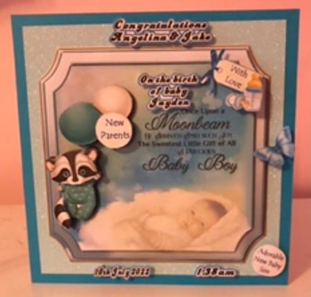 New Baby Boy with Raccoon by Liz Kiely