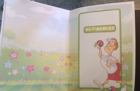Lawn Bowls Lady (red) Insert by Lois Robinson