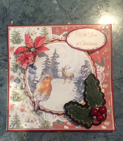 Christmas Scenes 9 Snowy Robin 6 x 6 Card Front with Toppers & Sentiments, Red/White by Lois Robinson
