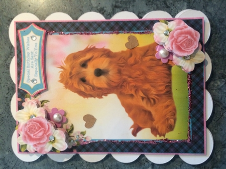 What A Sweet Dog by Lois Robinson