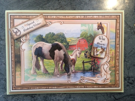 Wild At Heart 02 Mini Page Kit  by Lois Robinson