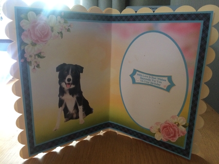 What A Sweet Dog 2 - Insert by Lois Robinson