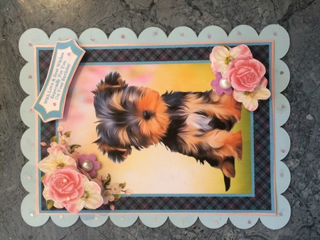 What A Sweet Little Dog by Lois Robinson