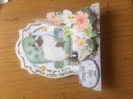 Do It with Cat-itude 1 Shaped 6x6 Card & Envelope Kit by Lois Robinson