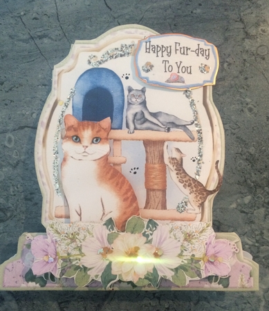 Do It with Cat-itude 2 Shaped 6x6 Card & Envelope Kit by Lois Robinson
