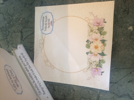 Do It with Cat-itude 2 Shaped 6x6 Card & Envelope Kit by Lois Robinson
