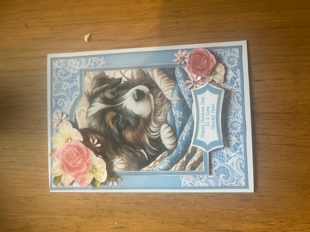 Puppy Love - 5x7 by Lois Robinson