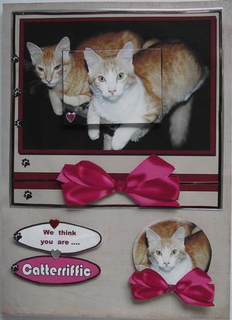 Catteriffic by Pauline Ronberg