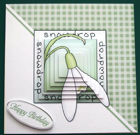 Snowdrops Quick Card with Pyramage by Lorraine Reed