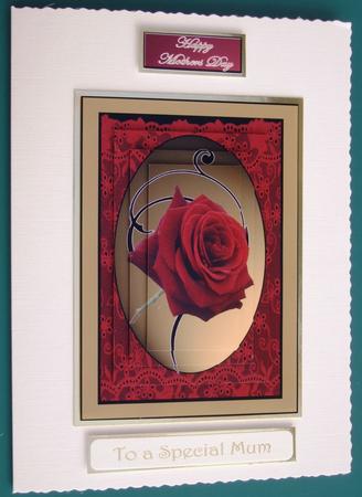 Beautiful Lady Mothers Day Birthday by Lorraine Reed