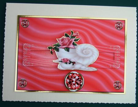 Silk and Shells by Lorraine Reed