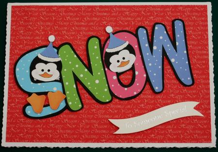 Let It Snow! Festive Joy Colours by Lorraine Reed
