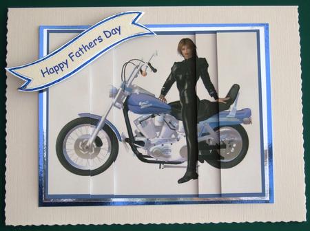Biker Chick on Harley Davidson by Lorraine Reed