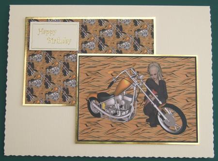 Tiger Biker Girl by Lorraine Reed