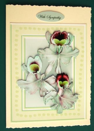 May Happiness Be Yours on This Special Day Thank You with Sympathy Happy Birthday in Smaller Sized Cards in Azure by Lorraine Reed