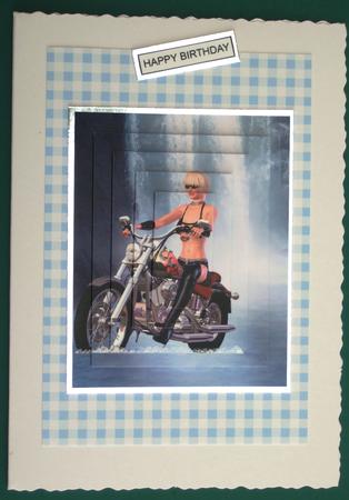 Born to Be Wild 1 by Lorraine Reed