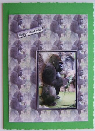 Gorilla 3D Decoupage with Background by Lorraine Reed