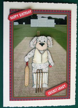 Cricket Crazy Dog by Lorraine Reed