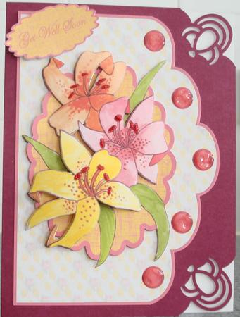 Colourful Florals by Lorraine Wilson