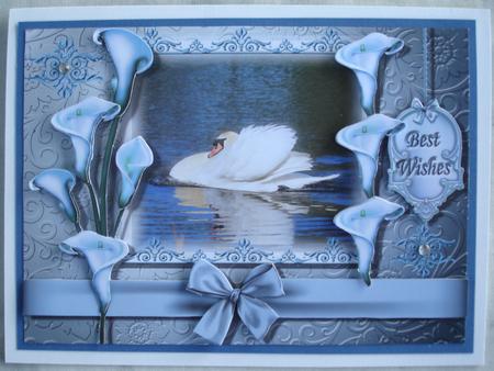 Graceful and Elegant - the Swan by Lorraine Wilson
