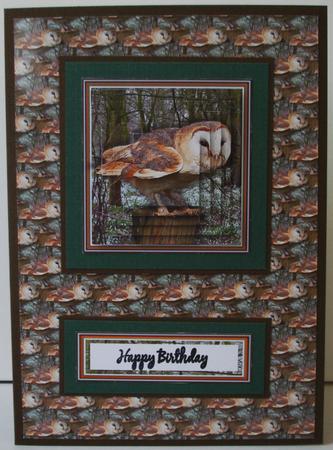Barn Owl Woodland Pyramid with Background by Lorraine Wilson