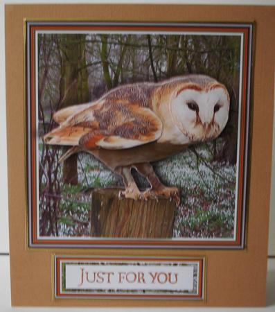 Barn Owl Woodland Scene 3D Decoupage by Lorraine Wilson