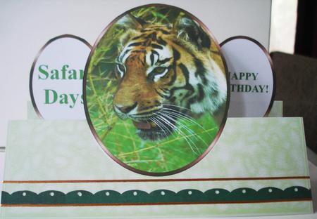 Bengal Tiger - on the Wild Side - Oval Stepper Card Kit by Lorraine Wilson
