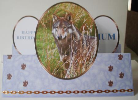 European Grey Wolf -on the Wild Side - Oval Stepper Card Kit by Lorraine Wilson