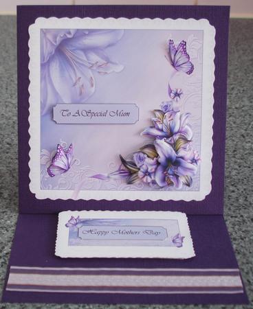 Wynter Lily on Lace Background Featured Gallery Photo