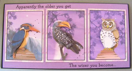 Feathered Friends Toppers by Lorraine Appleby