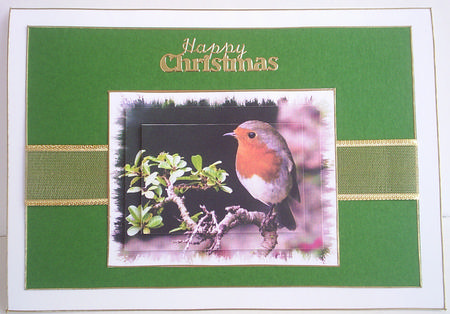 Robin Christmas Card Front by Lorraine Appleby