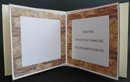 Age is a Funny Thing Insert by Lorraine Appleby