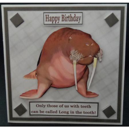 Long in the Tooth by Lorraine Appleby