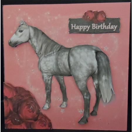 Horse Magic by Lorraine Appleby