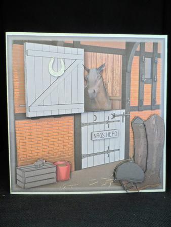 Neigh Lad Your Not Old by Lorraine Appleby