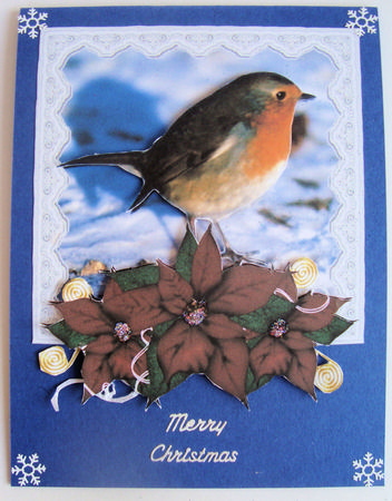 Pretty Robin and Poinsettia Card Front by Lorraine Appleby