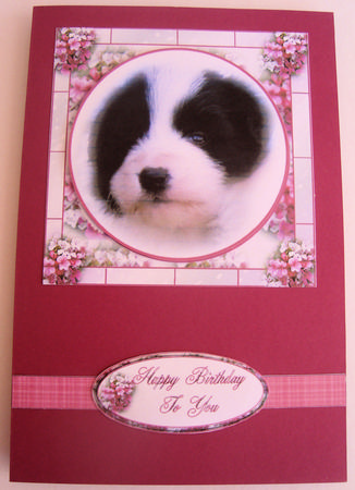 Adoreable Puppy Card Front by Lorraine Appleby