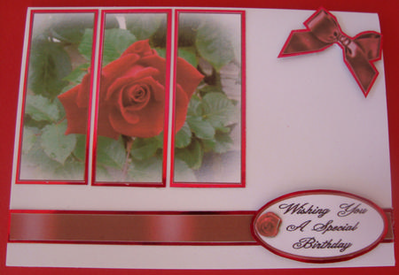 Red Rose Panel by Lorraine Appleby